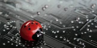 Bug Bounty: что за программы и в чем их преимущества?