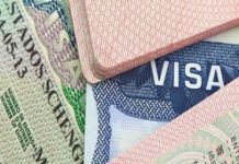 Работа в США через Кипр: как получить визу и начать новую жизнь