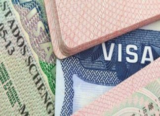 Работа в США через Кипр: как получить визу и начать новую жизнь