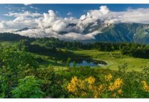 5 удивительных мест для выходных на территории Краснодарского края