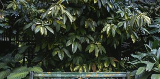 Виды скамеек для парков