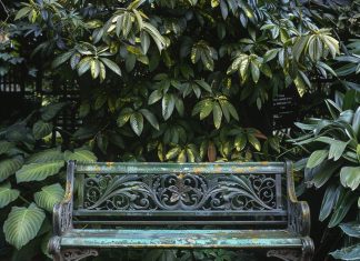 Виды скамеек для парков