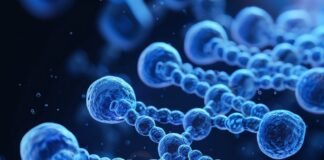 Пептиды: маленькие молекулы с большим потенциалом