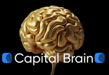 Capital Brain отзывы