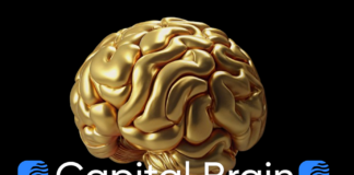 Capital Brain отзывы