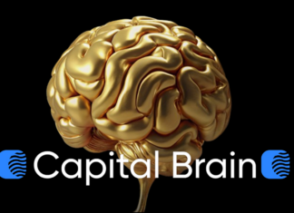 Capital Brain отзывы