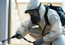 Обработка от тараканов: эффективные методы борьбы с незваными гостями