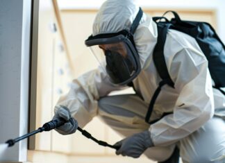 Обработка от тараканов: эффективные методы борьбы с незваными гостями