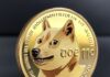 Курс Dogecoin: Путеводитель для начинающих