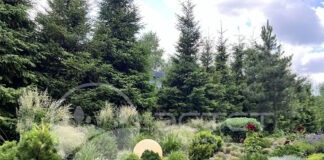 Дренажные системы: особенности монтажа и обслуживания