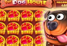 Слот The Dog House: Полное Руководство для Игроков