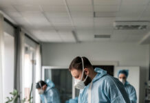 Дезинфекция от клопов, тараканов, муравьёв и блох: почему нужна помощь профессионалов