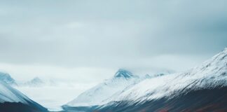 Путешествия на автобусе: Откройте мир заново – особенности, преимущества и организация